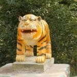 राप्रपाले माग्यो उपप्रधानसहित ४ मन्त्रालय