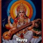 अलैंचीले बजार नपाउँदा किसान मारमा