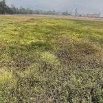 कर्णालीको संसद् नेतृत्वमा महिला
