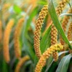 भूकम्पको धक्का