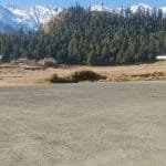 कापी–कलमसँगै दाउरा
