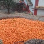 हाम्रो नाममा बनेका कानून सच्याइनुपर्छ :  द्वन्द्व प्रभावित