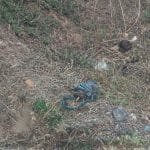 बँगुर बिक्रि नहुदाँ उमालाल संकट्मा