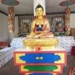 चिस्यान केन्द्र नहुँदा सुन्तला : कतै धानसँग साटियो, कतै सस्तोमै बेचियो