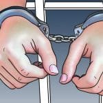गुर्भाकोटमा रेबिज लागेर एक भैंसीको मृत्यु