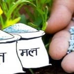 सुध्रिएन सरकारको ‘असारे शैली’