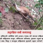 नेशनल माईक्रोफाईनान्स लघुवित्तको समूह गोष्ठी तथा साक्षरता कार्यक्रम सम्पन्न