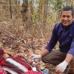 मालिका र कालिका निर्माण व्यवसायीको इजाजतपत्र खारेज
