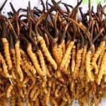 आठ करोड पेश्की लिएर आयोजना अलपत्र