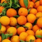 अपाङ्गता युवती बलात्कार आरोपमा डाेप्केका एक युवक पक्राउ