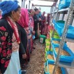 एमाले प्रदेश उपसचिवमा शाही कि खड्का विवाद चर्कियो