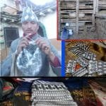 कर्णाली एक्स्पो–२०८० को व्यवस्थापन ठेक्कामा चलखेल