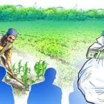 कर्णाली एक्सपो सञ्चालन गर्न बाटो खुल्यो