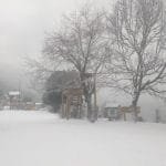 चिसोले हिल्सा बजारमा २७ जनामात्र, आर्थिक कारोबार शून्य