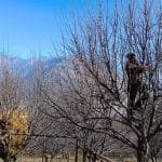 पातारासी गाउँपालिकाको हिउँदेसभा, १२ वटा निति पारित