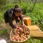 डुंगेश्वरलाई दोस्रो पटक रनिङ शिल्ड