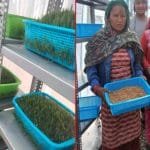 YUGAAWHAN NATIONAL DAILY (2080-10-19)