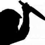 कर्णाली उत्सव’ को पाँचौं संस्करण आगामी फागुन ५ देखि ७ गतेसम्म