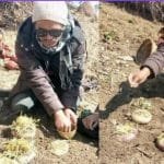 मुगुमा कारागारको भवन नहुदा: कैदीलाई अन्यत्र जिल्ला पठाउनु गर्नुपर्ने बाध्यता