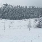 कोरियन भाषा परीक्षा २०८१ पुस २ गतेसम्म