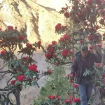 डिजाइन परिवर्तनपछि अगाडि बढ्यो पुल निर्माण