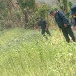 एमाले सुर्खेत अधिबेशन : नेता कँडेलको पेलानले निर्वाचन हुँदै