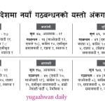 स्थायित्वका लागि प्रत्यक्ष निर्वाचित कार्यकारी