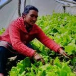 तुइन मुक्त कालिकोट