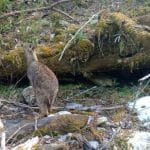 रैथाने बालीको परिकार बनाउने सिप सिक्दै 