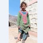 गर्मी सुरु भएपछि सतहमा राराका लोपोन्मुख असला