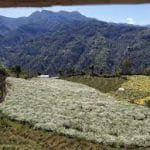 १०औँ राष्ट्रिय खेलकुद प्रतियोगिता कर्णालीमा हुनु उपलब्धिमूलकः मुख्यमन्त्री शर्मा