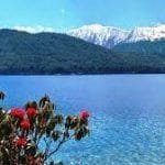 मोटरसाइकल चोरी गर्ने दुईजना पक्राउ