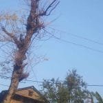 लामाको कृति ‘अमरभूमि’ बजारमा