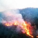 वडाद्वारा चार सय घरधुरीको घर बीमा