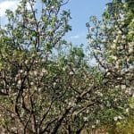 YUGAAWHAN NATIONAL DAILY (2081-01-10)