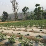 सम्पादकीय : काकाकुलको शहर वीरेन्द्रनगर कहिलेसम्म ?