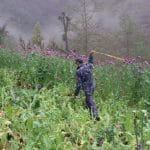 देशैभर पाठ्यपुस्तक पुगेको जनक शिक्षा सामग्री केन्द्रको भनाइ