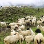 जमुनाहको पर्यटन सूचना केन्द्र कामविहीन