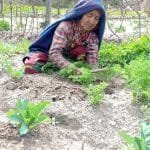 जगदुल्ला जलविद्युत आयोजना निर्माणपछि कर्णालीको विद्युत समस्या समाधान हुने अपेक्षा