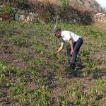 कानको जुली बेचेर डल बनाउने सिप सिकेकी मनिशा