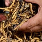 कैद मिनाहा माफीमा कुनै किसिमको विभेद हुनुहुँदैन : गृहमन्त्री लामिछाने