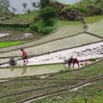 साना योजना सिधै प्रदेश र स्थानीय सरकारलाई हस्तान्तरणः प्रधानमन्त्री