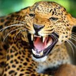 दुर्गमको खाद्य उद्योगले कमायो एक वर्षमा ४२ लाखभन्दा बढी