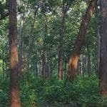 कर्णाली र भेरी करिडोरहरु कर्णाली प्रदेश सरकारको मुख्य प्राथमिकतामा