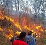 कर्णाली करिडोरको यातायात ‘सिण्डिकेट’ तोड्न माग