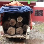 प्रतिबन्ध खुलाउने निर्णयपछि टिकटकले भन्यो– हामी उत्साहित छौं