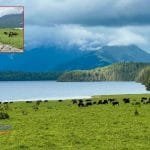 सम्पादकीय : माता त्रिपुरासुन्दरीले ति सबैको रक्षा गरुन !