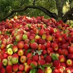 तीन गुणा बढ्यो विद्युत् खपत