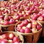 मेहेलकुना अस्पतालका समस्या समाधानका लागि सामाजिक विकास मन्त्रालयलाई पत्र