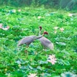 स्थानीय तहका उद्योगी तथा व्यापारीलाई कर शिक्षा